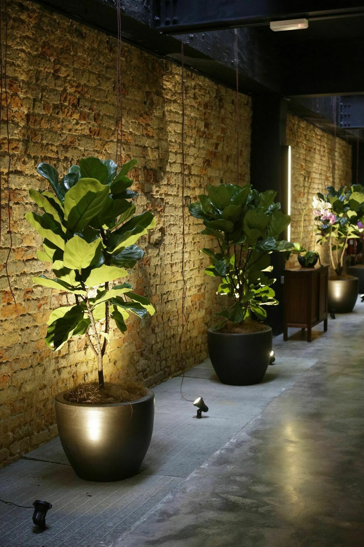 Tian Jing Hotel Kuala Lumpur Ngoại thất bức ảnh